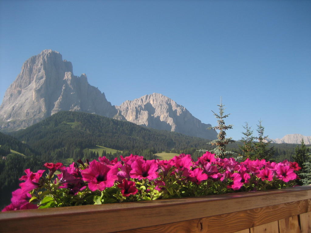 Apartments Etruska Santa Cristina Val Gardena Номер фото